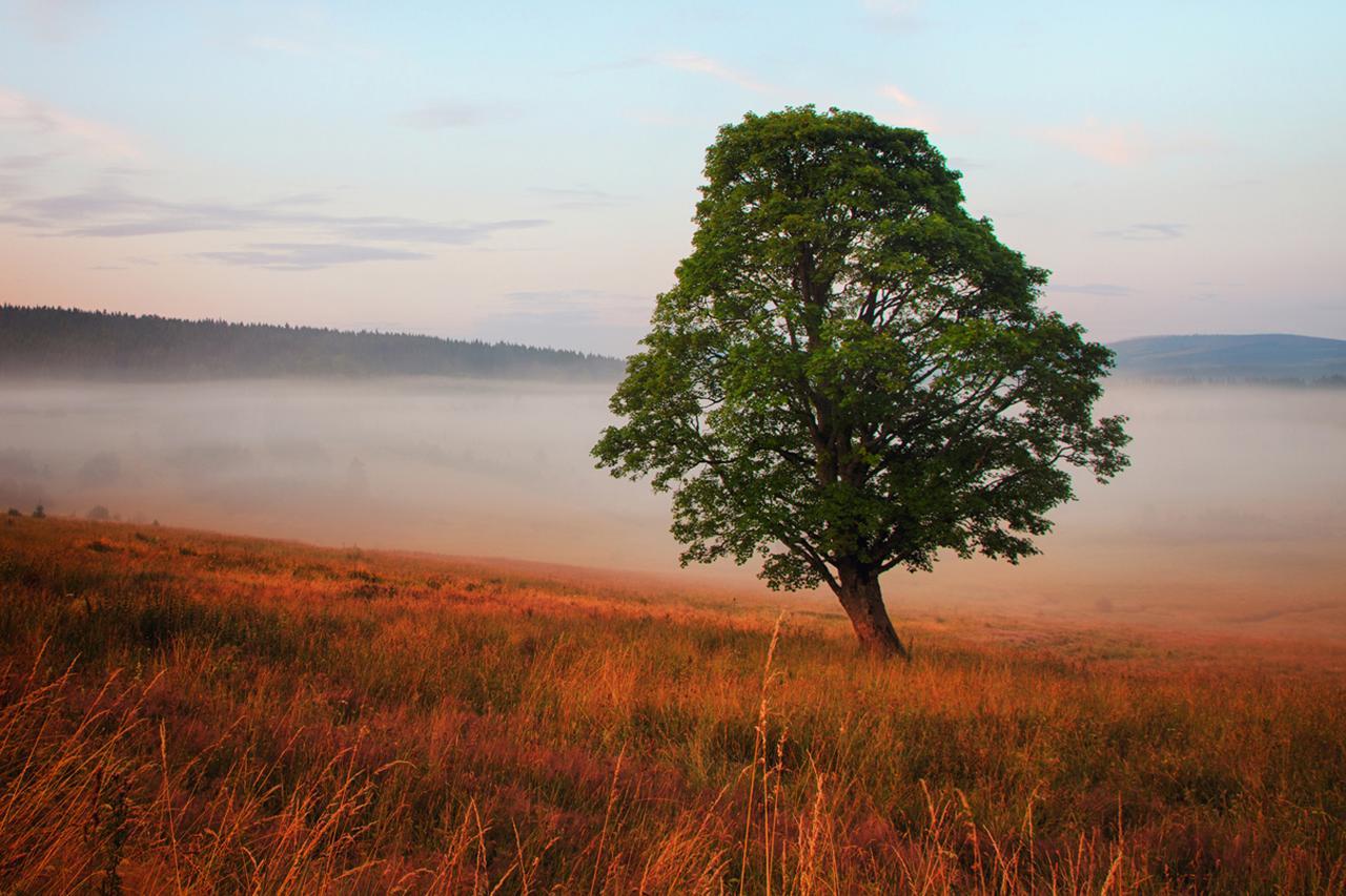 Statek Ceska Lipa Myslovice Hotel Klatovy Luaran gambar